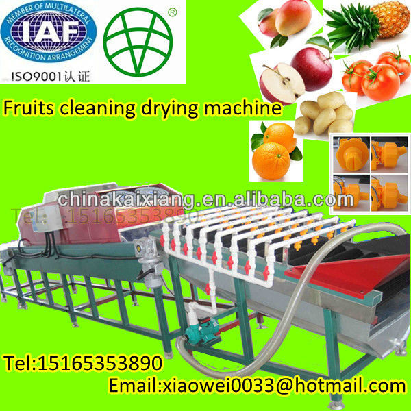 complete functions peach potato fruits cleaning drying and sorting machine