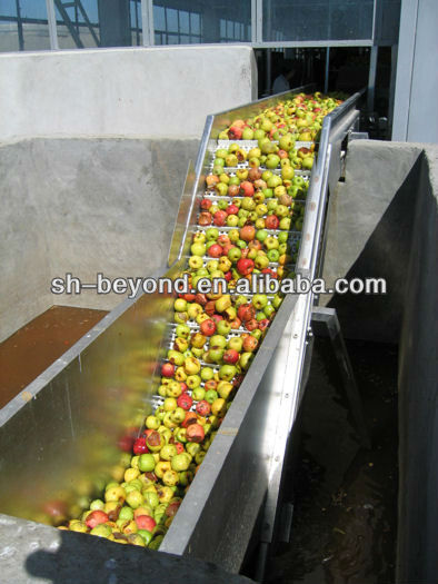 complete set of apple processing line