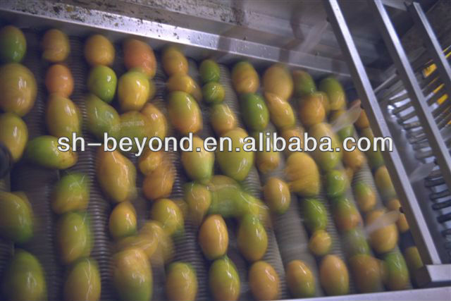 complete set of mango processing line