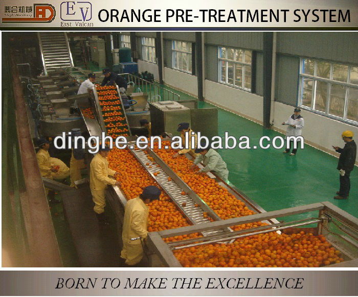 Concentrated orange juice processing line