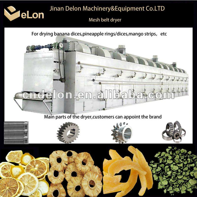 Conveyor mesh belt dryer for drying pineapple/apple slice/banana dices/Mango strips