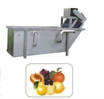 CXJ series washing fruit machine