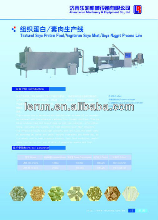 Dry Defated Soya Protein Product Machinery