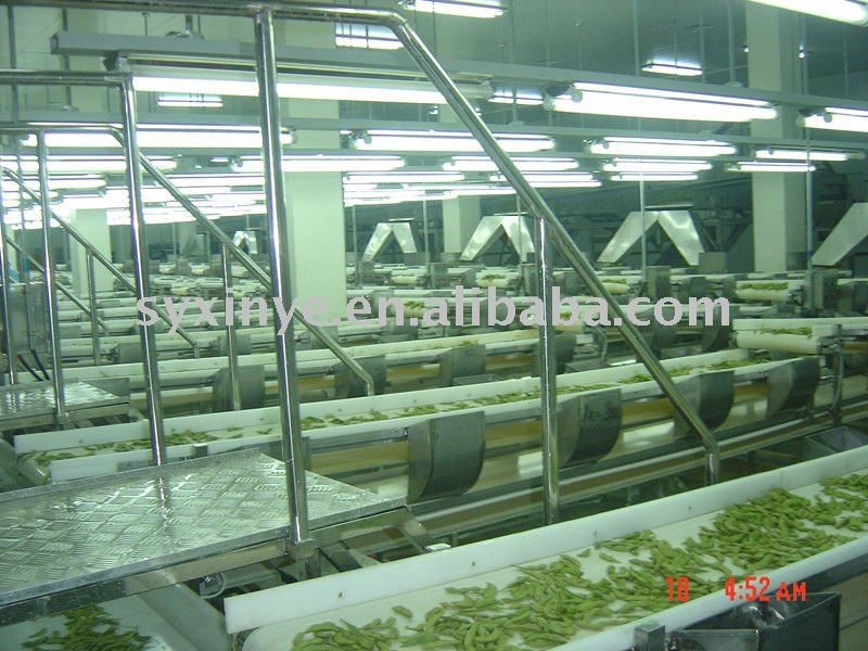 drying cabbage whole-set equipment