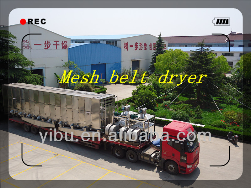 DW Series Mesh-Belt Drying machine for drying vegetable