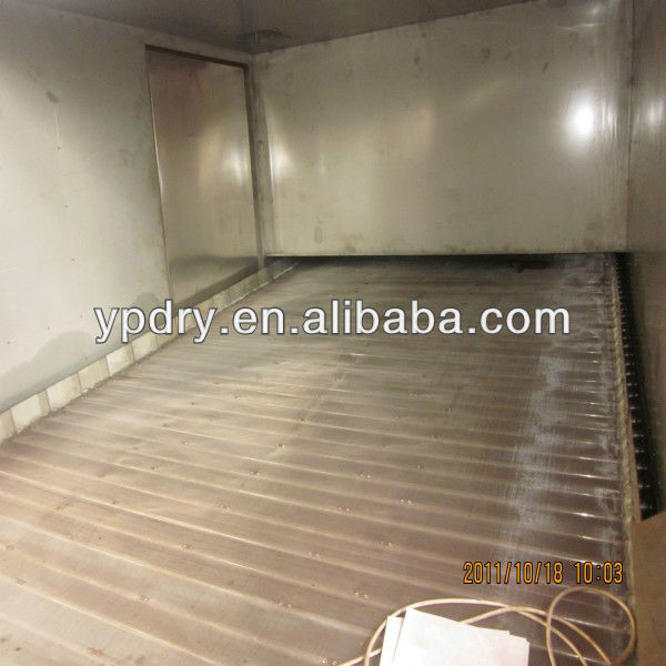 DWT Multi-layer conveyer drying machine/fruit and vegetable dryer/dehydrator