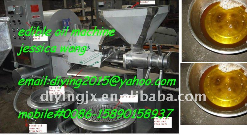 DY auto New type beans oil press machine