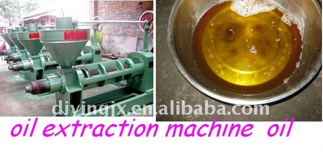 DY New type beans oil press machine