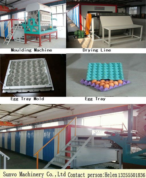 egg tray machine factory