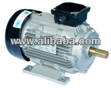 ELECTRIC MOTOR