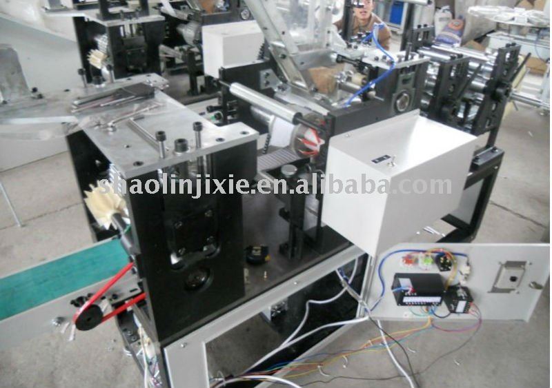 Environment Friendly Automatic Toothpick Packing Machine