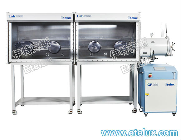 Etelux Lab2000 vaccum glovebox