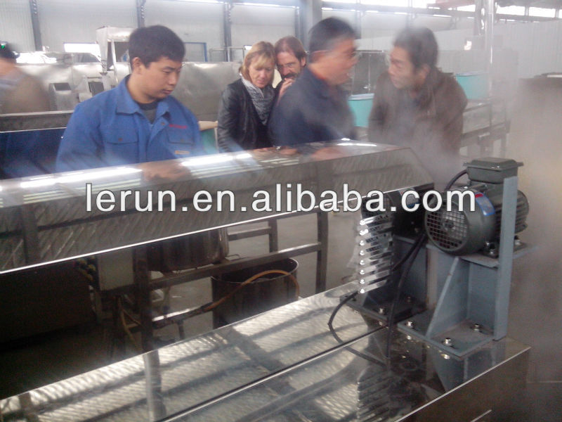 Excellent quality soya meat protein production line