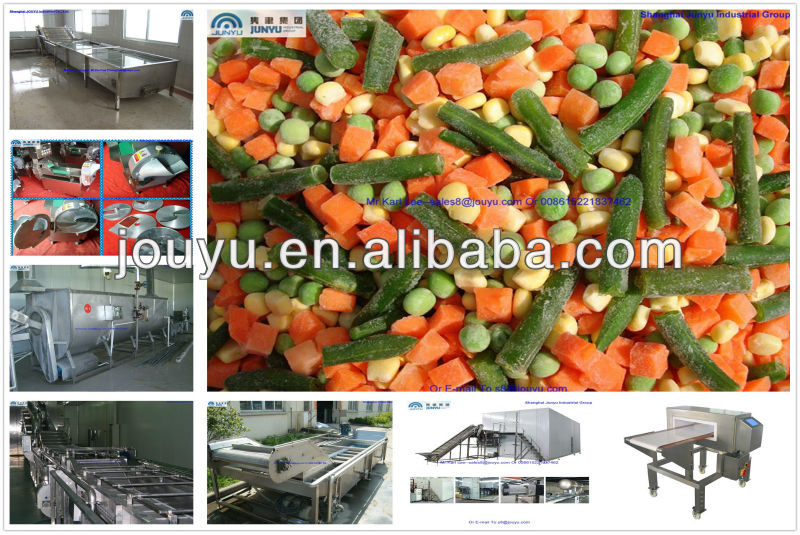 Excellent Vegetable Quick Freezing Line QFVM-014 Vegetable Slicing Machine Vegetable Processing Machinery