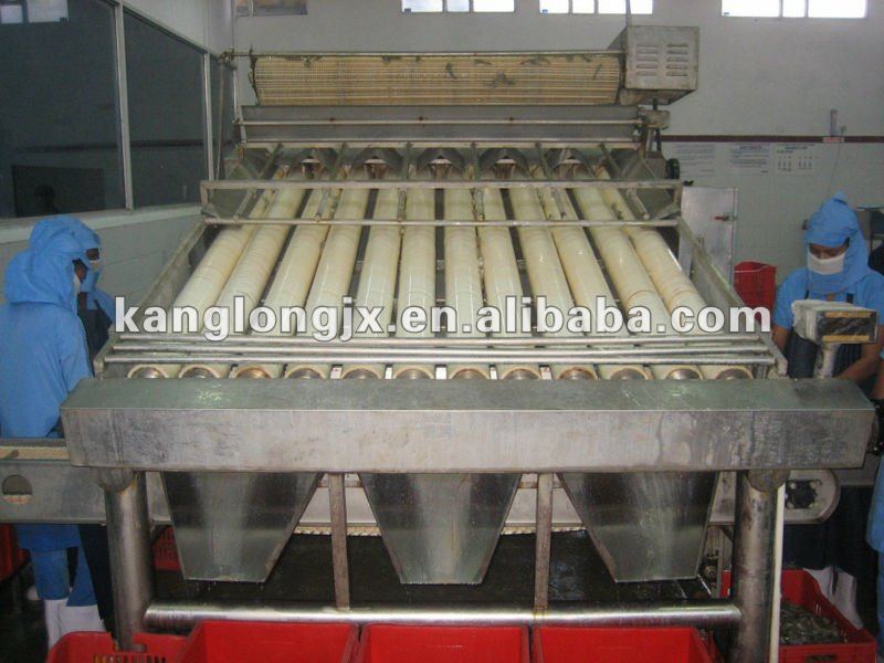 Fish Grader Machinery