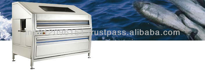 Fish Processing ( Scaling, Cleaning, Grading, Filleting ) Machine