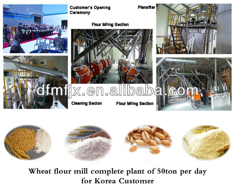 Flour Mill complete plant