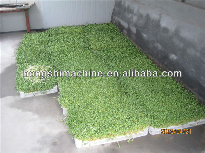 Fodder sprouting machine/barley grass growing machine for animal