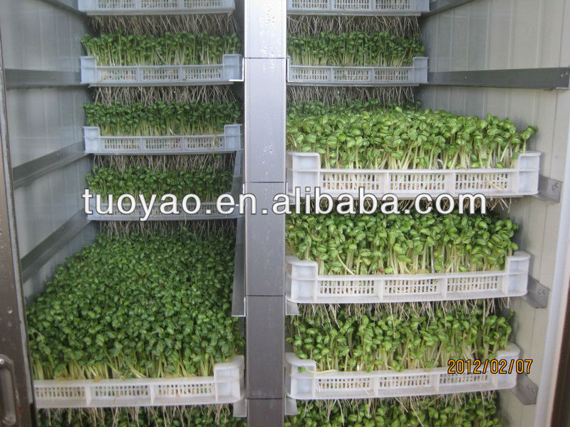 Fodder Sprouting System For Feed Livestock in China