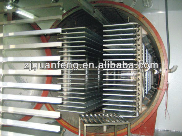 food freeze drying machine