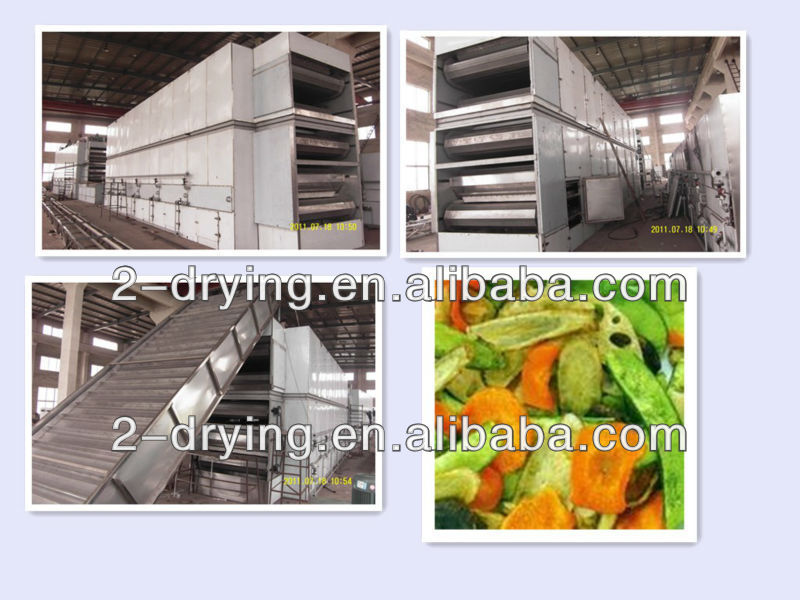 Foods factory machine