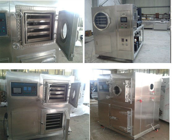 freeze dryer machine/vacuum freeze dryer/fruit and vegetable dryer