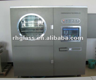 fresh fruit and vegetable vacuum freeze dryer machine JDG-1