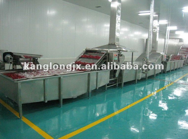 frozen vegetables and fruit processing line machinery