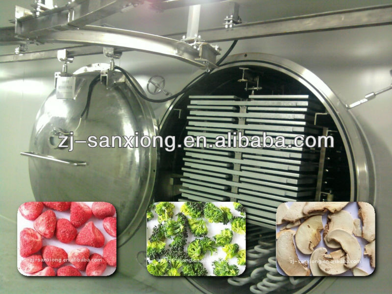 fruit and vegetable vacuum drying machines