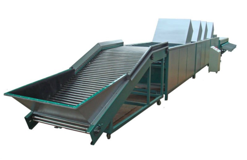 Fruit cleaning drying and sorting machine