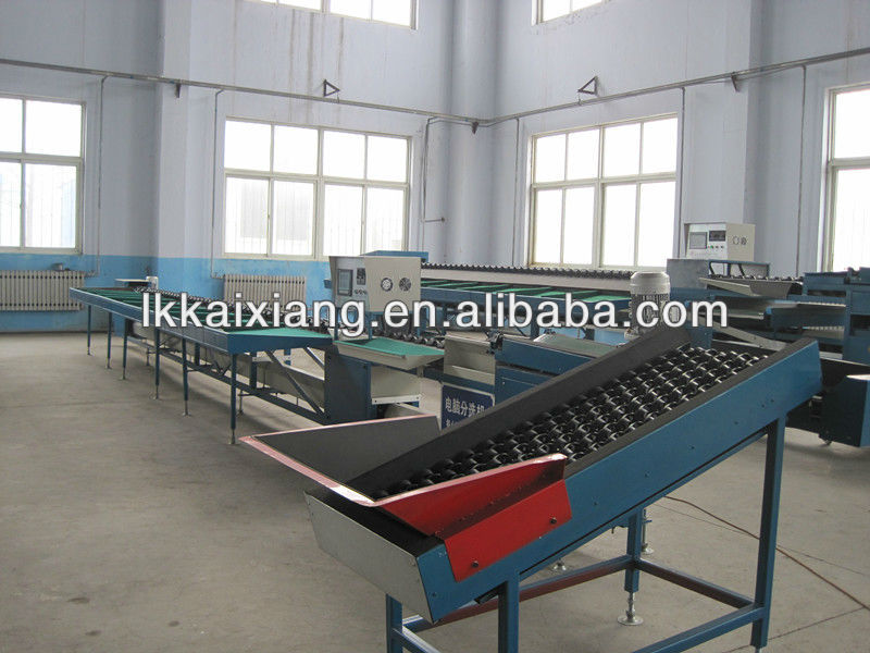 Fruit Electronic Weight Grading Machine (XGJ-DN) and fruit cleaning waxing machine