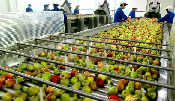 fruit juice processing machinery manufacturer