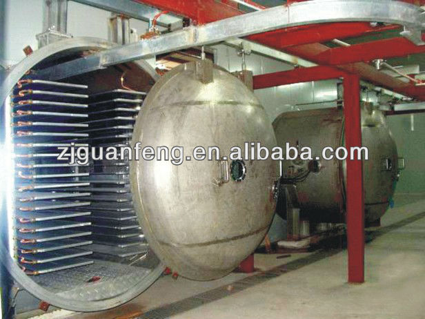 fruit vacuum freeze drying machine