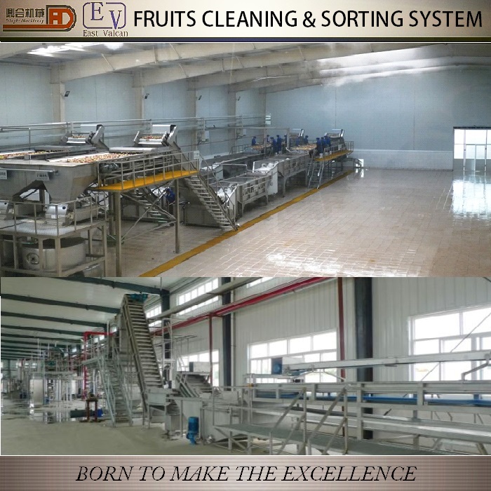 Fruits and vegetable cleaning machine