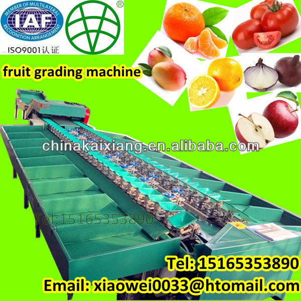 Fully automatic double line tomato apple grading machine