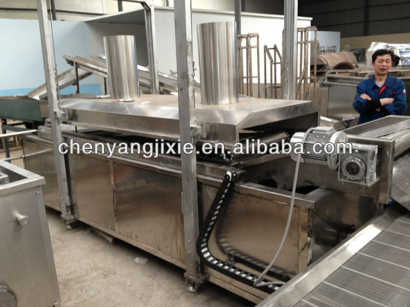 gas fryer/electric fryer/deep fryer