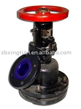 Glass lined flush valve 1