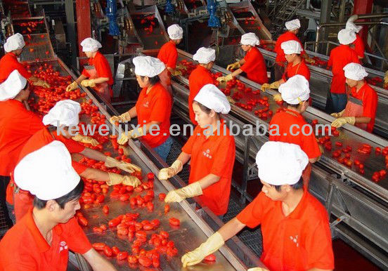 High quality machines for tomato paste production line