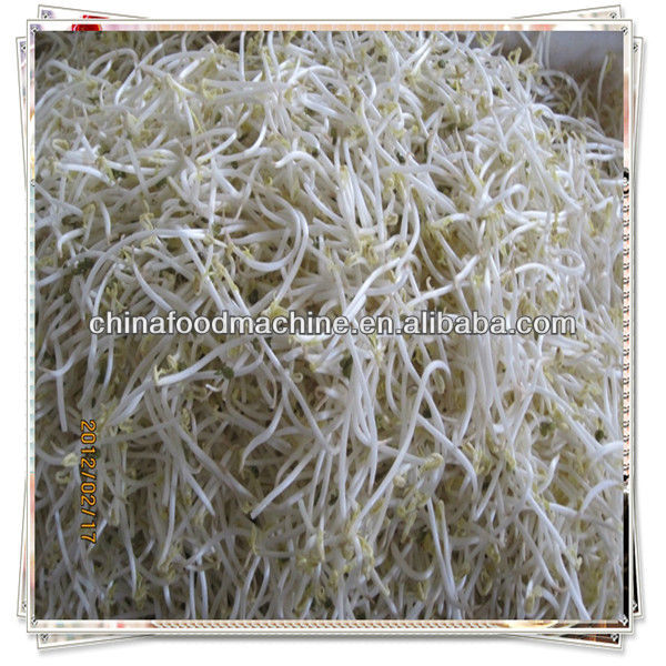 HL Automatic bean sprout growing machine/008615890640761