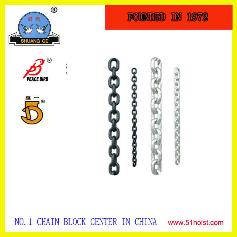 hoist load chain