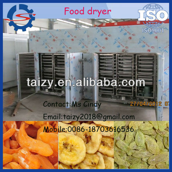 Hot sales grain dryer/fruit dryer with low price 0086-18703616536