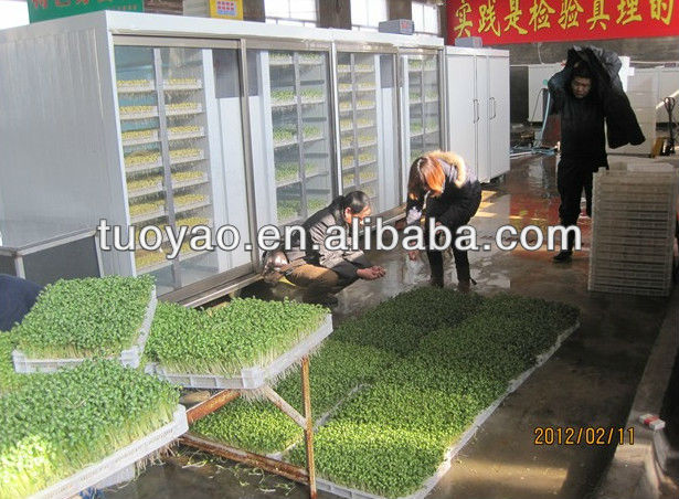 Hydroponics Green Fodder for farm livestock