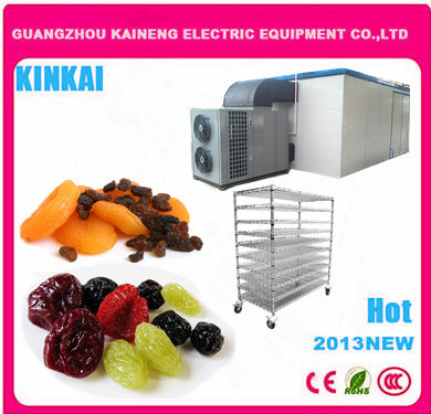 industiral fruit dryer equipment