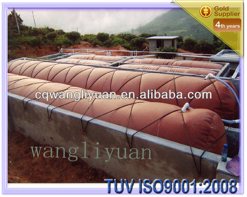 industrial biogas digester