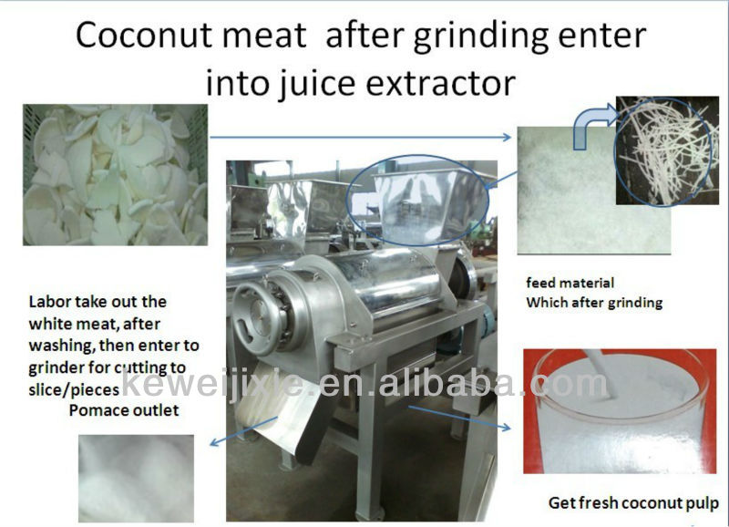 Juice extractor of coconut machine