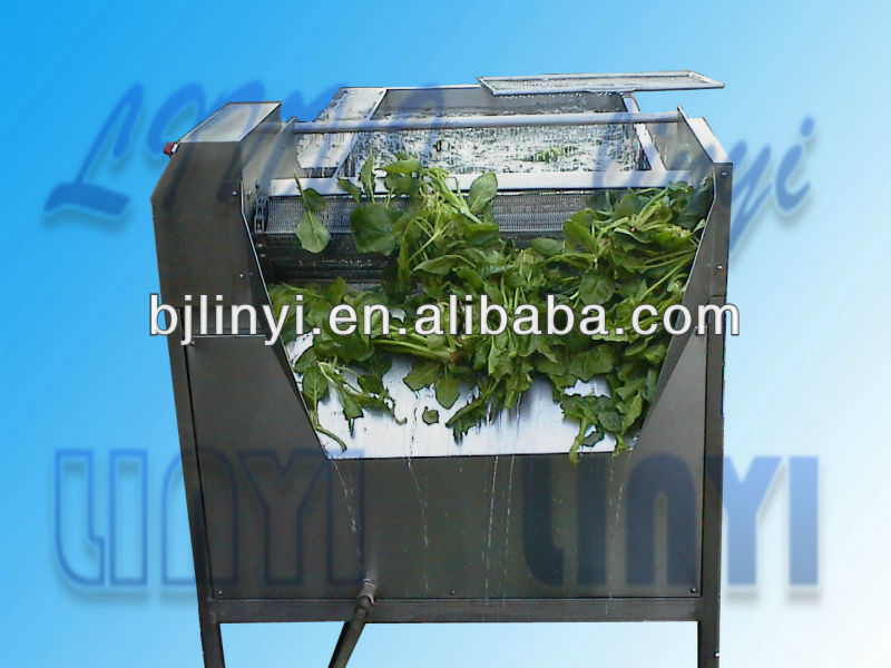 LINYI series Profesional Manufacturer Reliable Quality Fruits and Leafy Vegetables Washing Machine 0086(0)13521786207