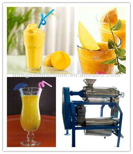 Mango juice processing machine