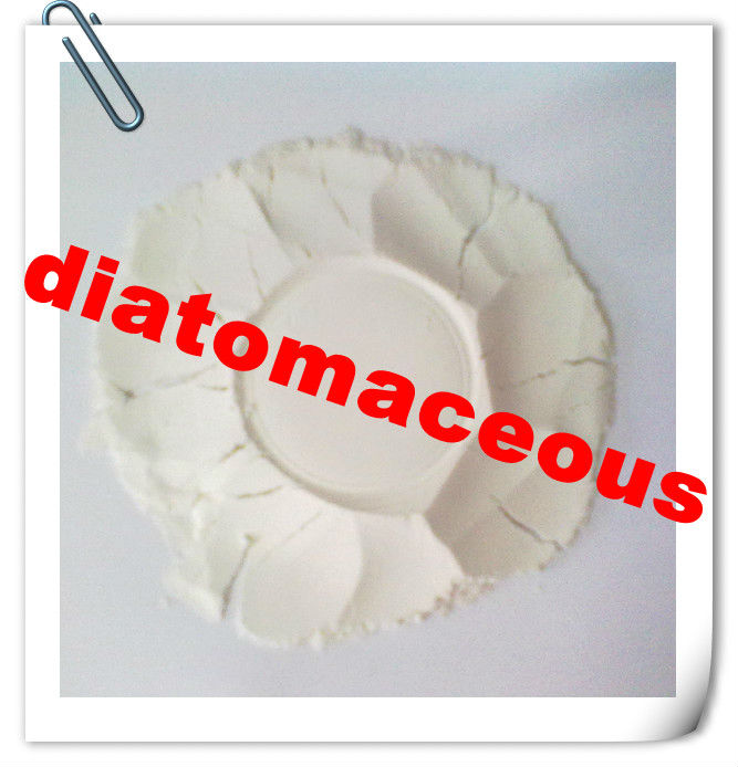 Most professional-diatomaceous earth filler