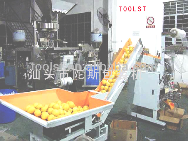 multi-function utomatic fruit packing machine TPY-388F