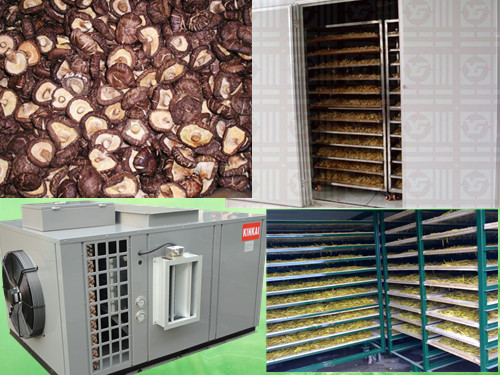 Mushrooms dryer machine , bamboo shoots dryer machine